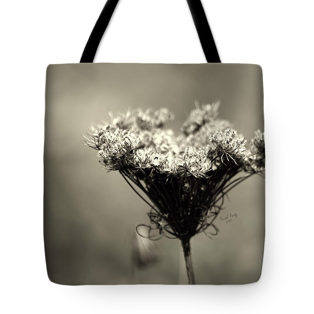 Flower Tote Bag featuring the photograph Still Beautiful by Trish Tritz