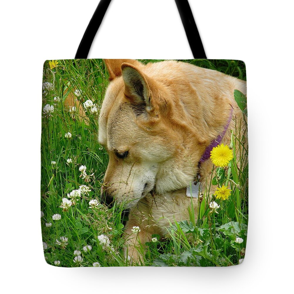 Dog Tote Bag featuring the photograph Stop And Smell The Clover by Rory Siegel