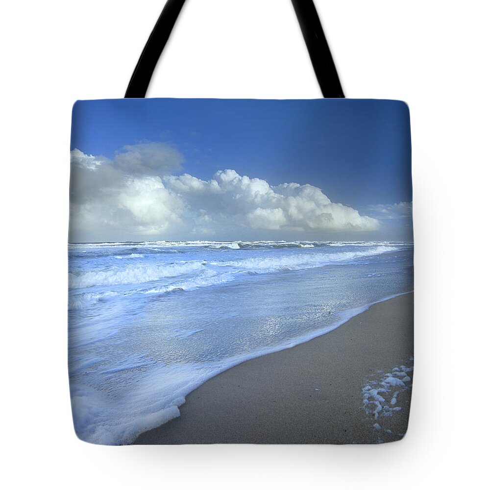 Mp Tote Bag featuring the photograph Storm Cloud Over Beach, Canaveral by Tim Fitzharris