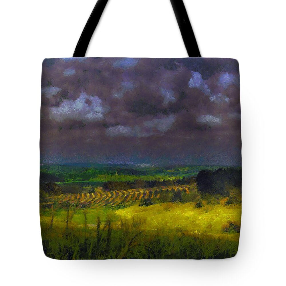 Landscape Tote Bag featuring the photograph Storm clouds over meadow by Michael Goyberg