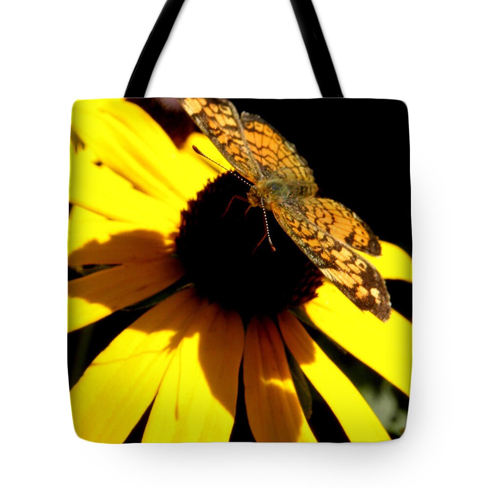 Butterfly Tote Bag featuring the photograph Straight across the nectar by Kim Galluzzo