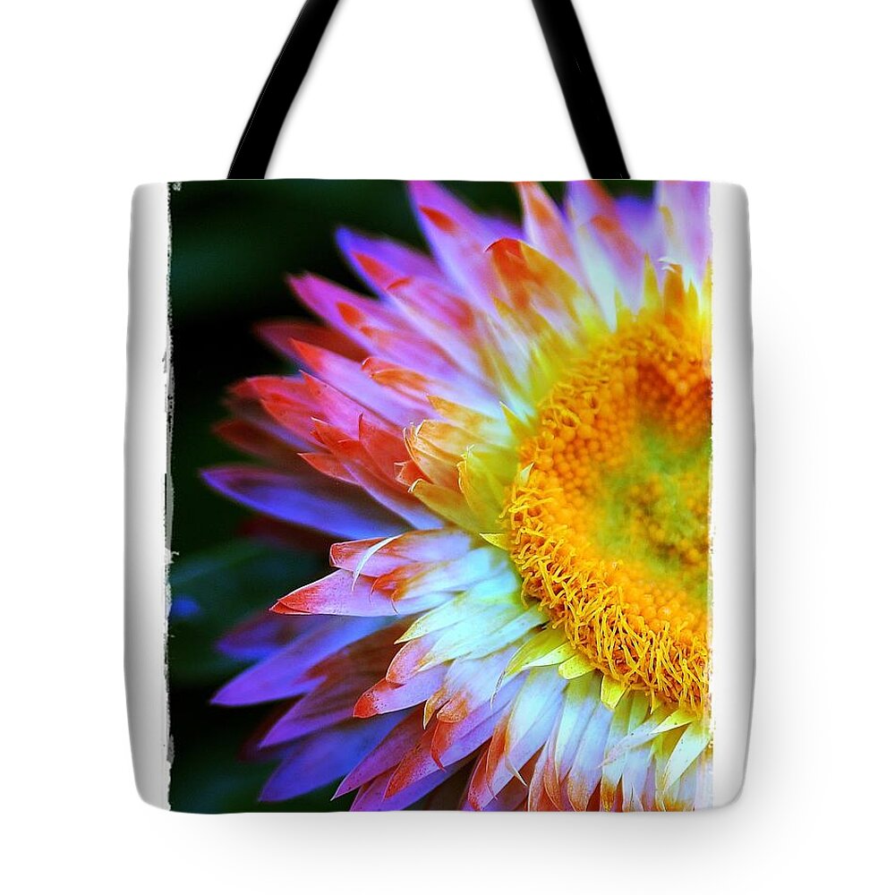 Straw Tote Bag featuring the photograph Strawflower by Judi Bagwell