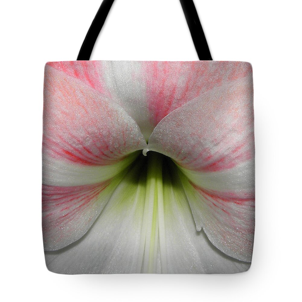 Pink Tote Bag featuring the photograph Streaks Of Pink by Kim Galluzzo Wozniak