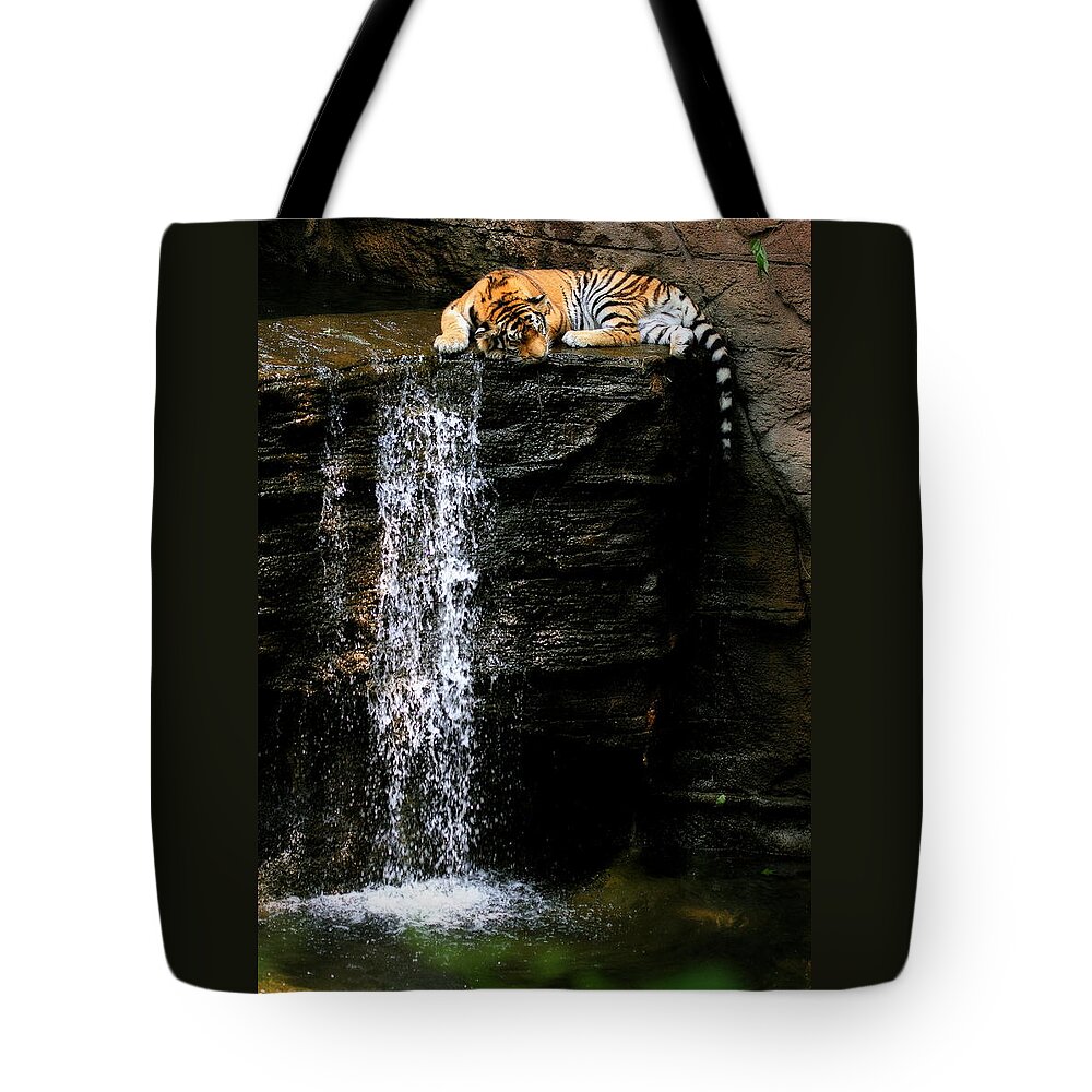 Amur Tiger Tote Bag featuring the photograph Strength at Rest by Angela Rath
