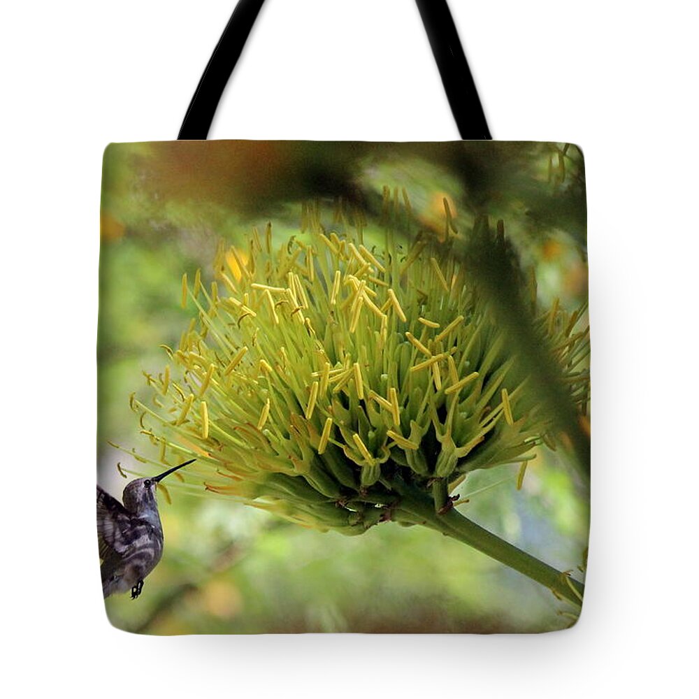 Bird Tote Bag featuring the photograph Summer Hummer by Jo Sheehan
