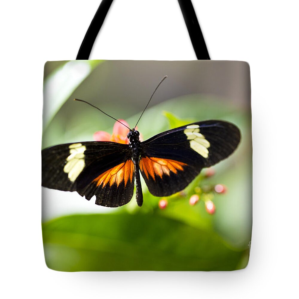 Butterfly Tote Bag featuring the photograph Summer Love by Leslie Leda