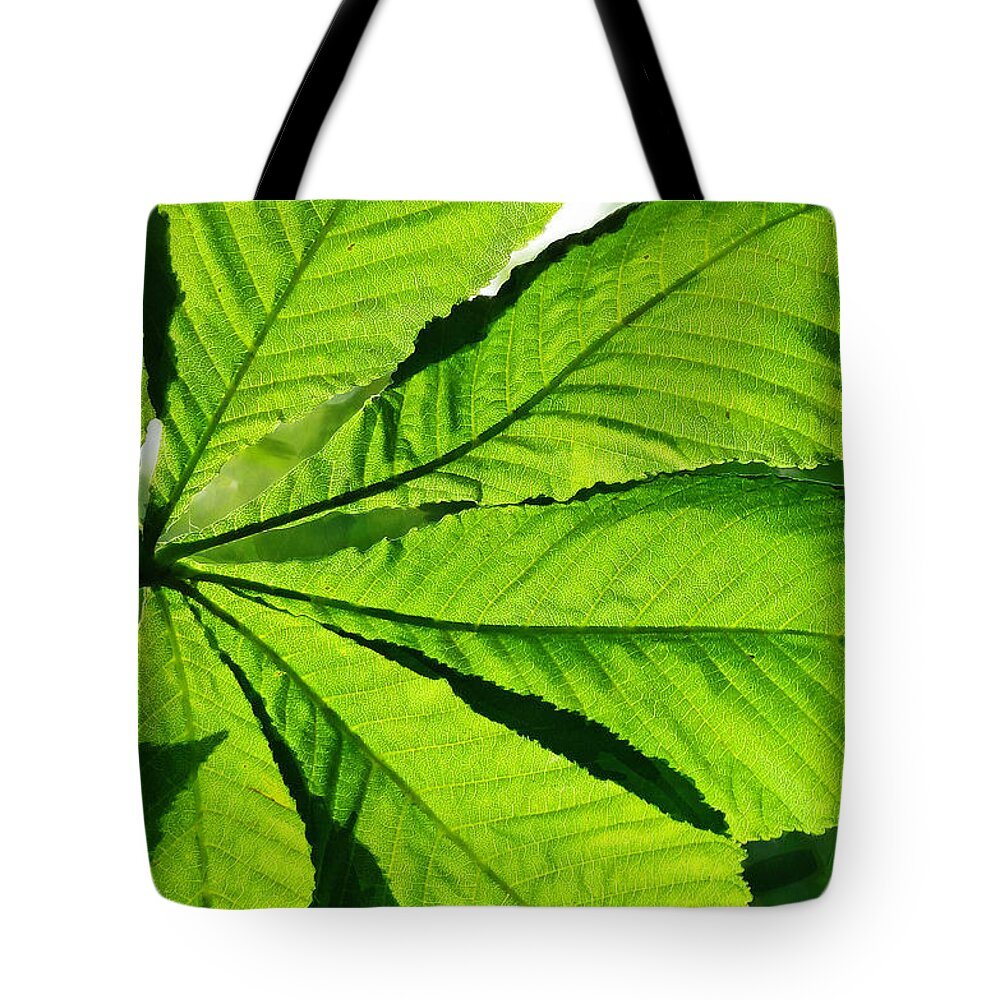 Leaf Tote Bag featuring the photograph Sun on a Horse Chestnut Leaf by Steve Taylor