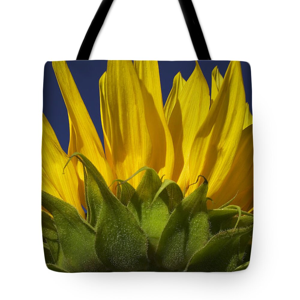 Sunflower Tote Bag featuring the photograph Sunflower by Garry Gay