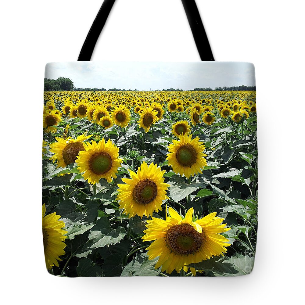 Sunflowers Tote Bag featuring the photograph Sunflowers by Cheryl McClure