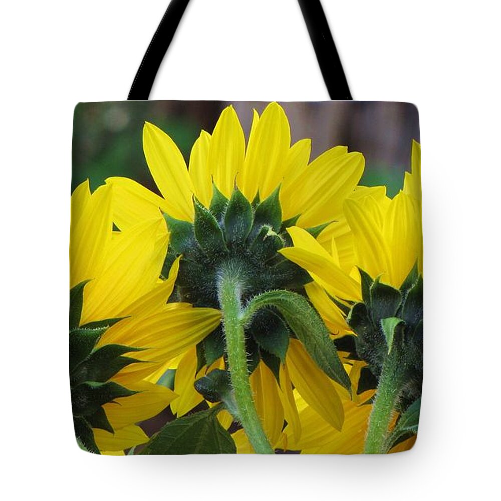 Sunflowers Details Yellow Behind Tote Bag featuring the photograph Sunflowers by Michele Penner