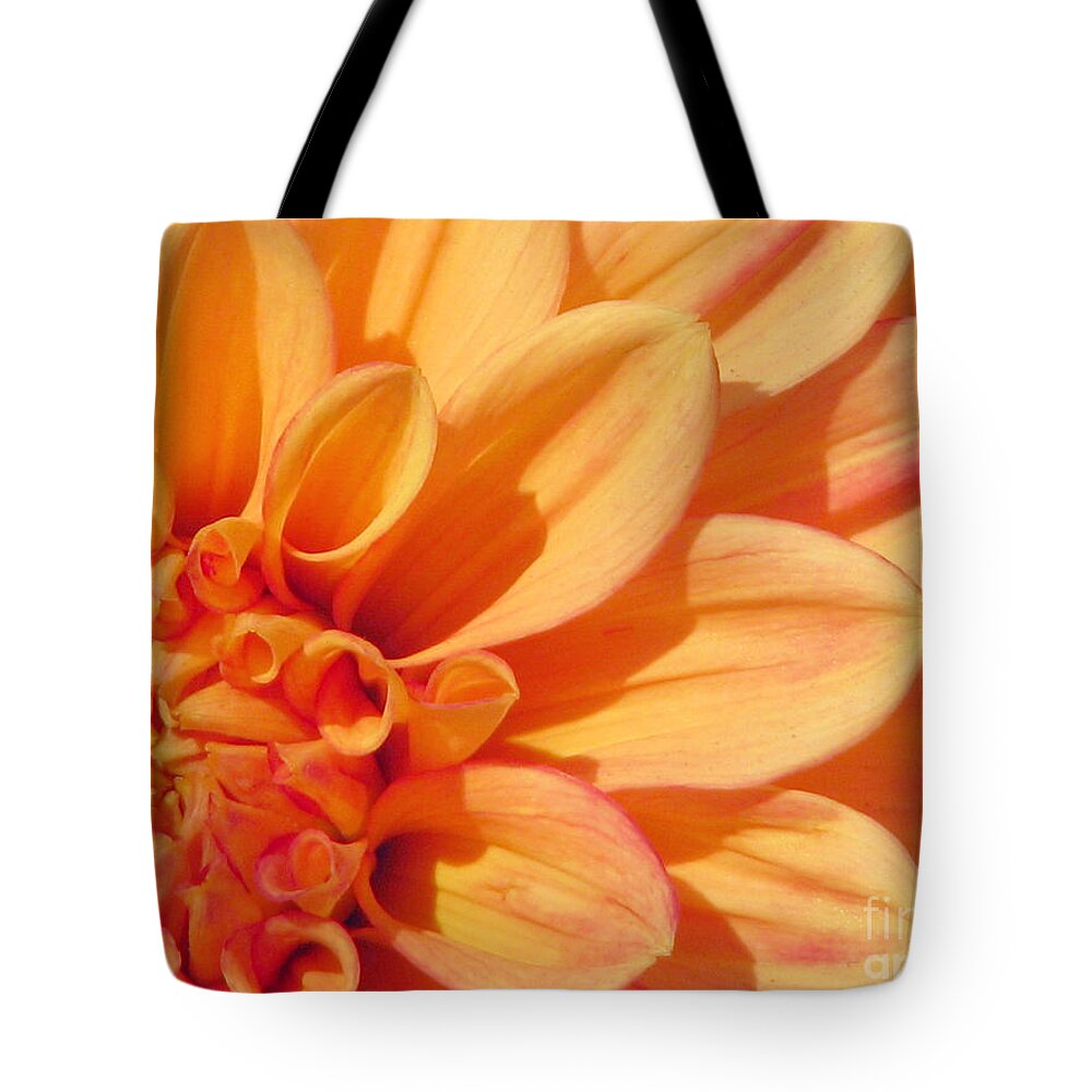 Dahlia Tote Bag featuring the photograph Sunglow by Rory Siegel