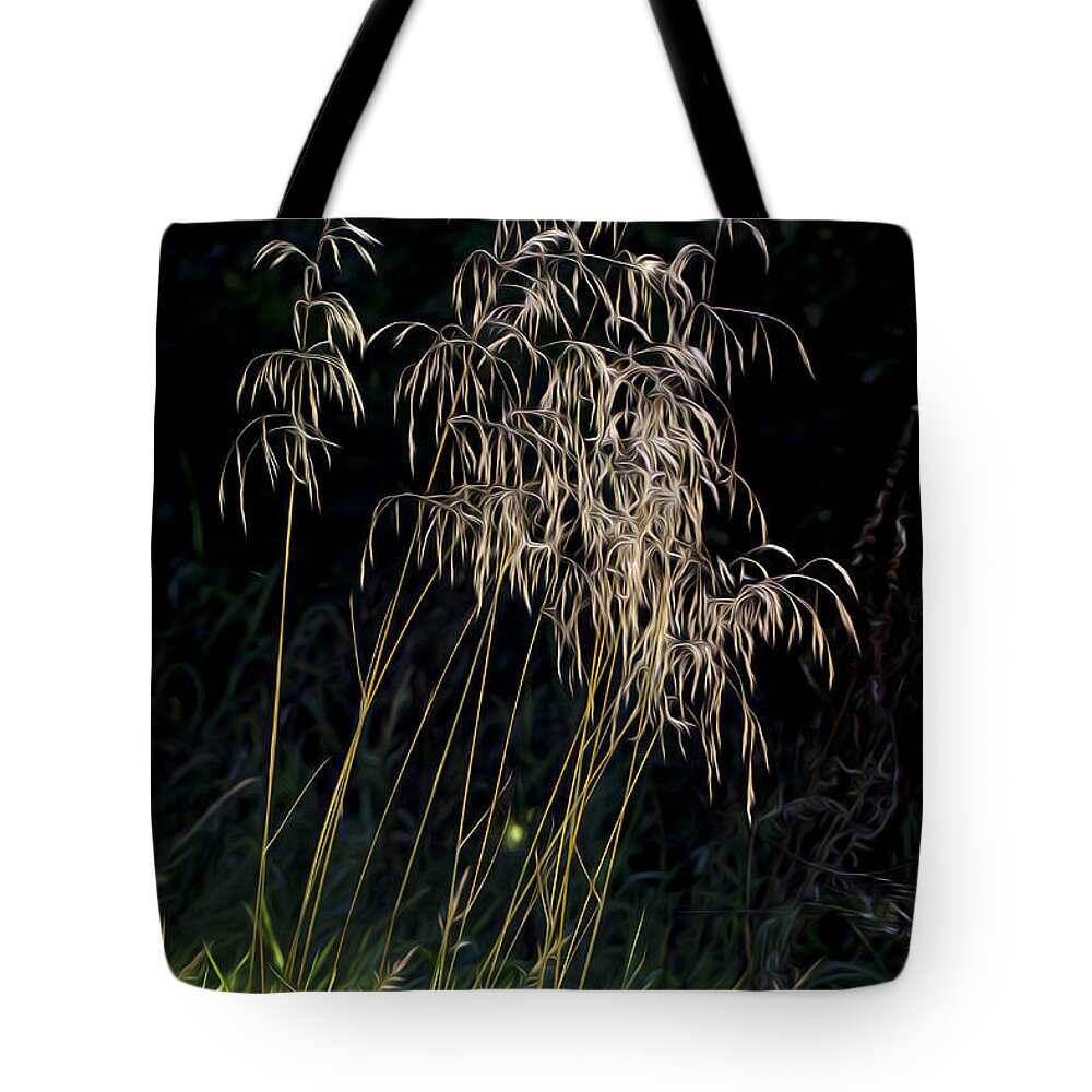 Clare Bambers Tote Bag featuring the photograph Sunlit Grasses. by Clare Bambers