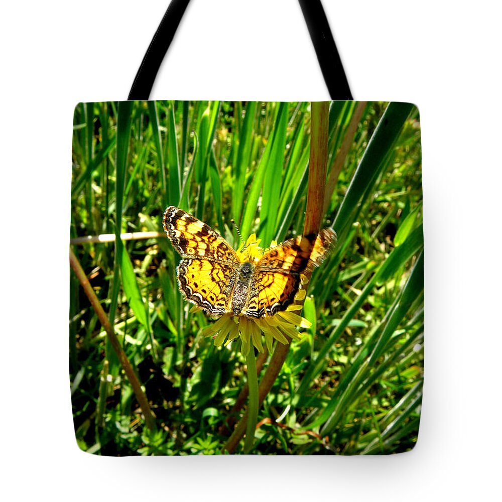 Butterfly Tote Bag featuring the photograph Sunning On A Dandelion by Kim Galluzzo Wozniak
