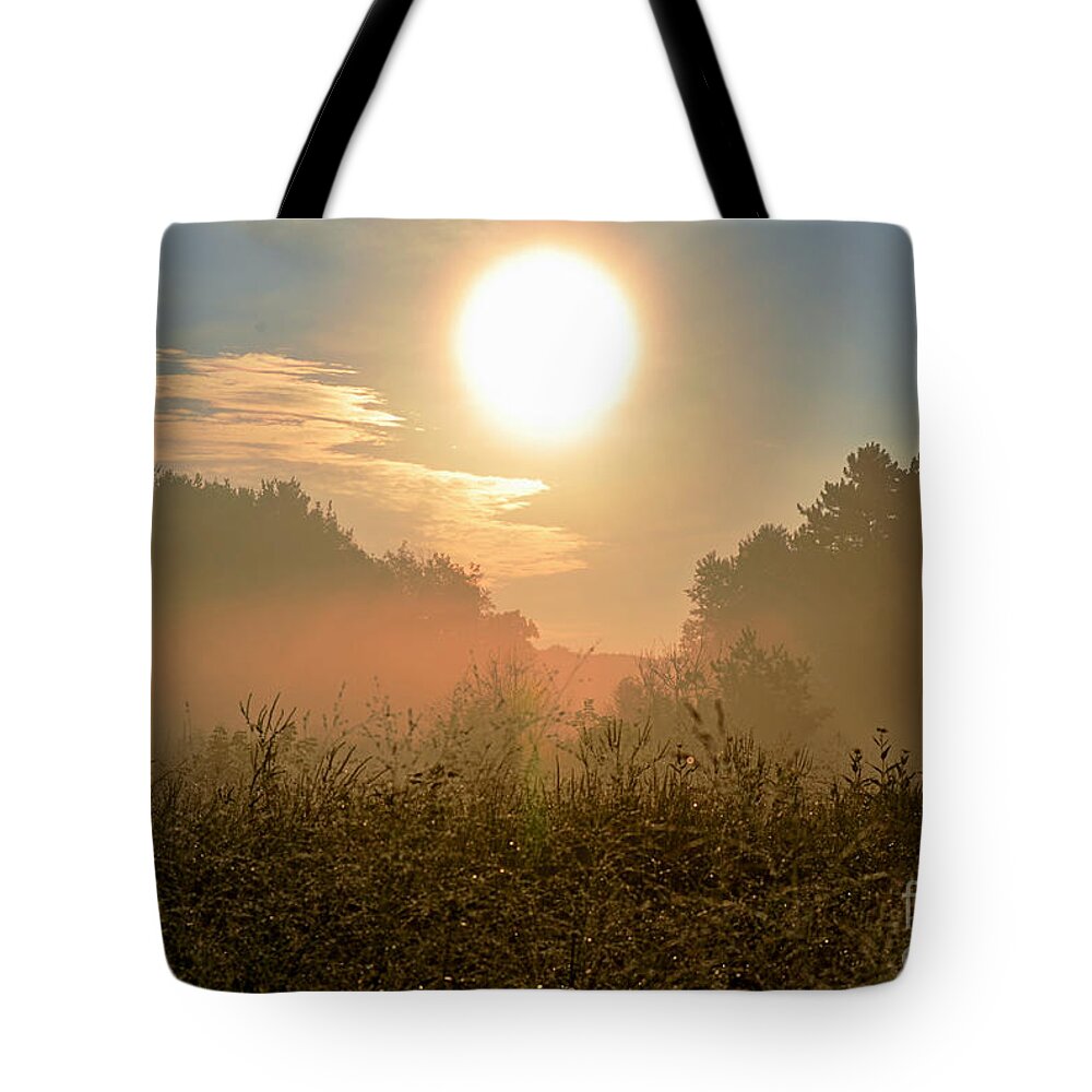 Color Photography Tote Bag featuring the photograph Sunny Side Up by Sue Stefanowicz