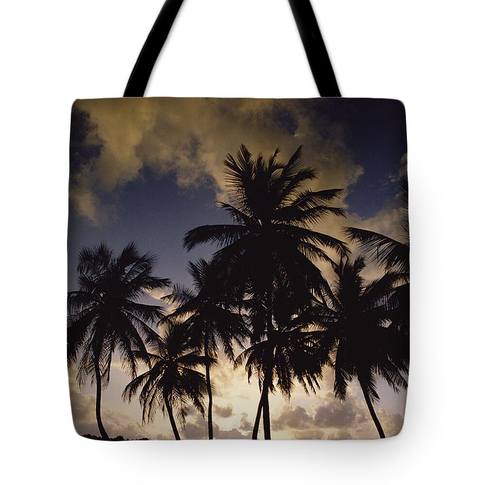 Mp Tote Bag featuring the photograph Sunrise At La Sagesse Bay Over Marquis by Gerry Ellis