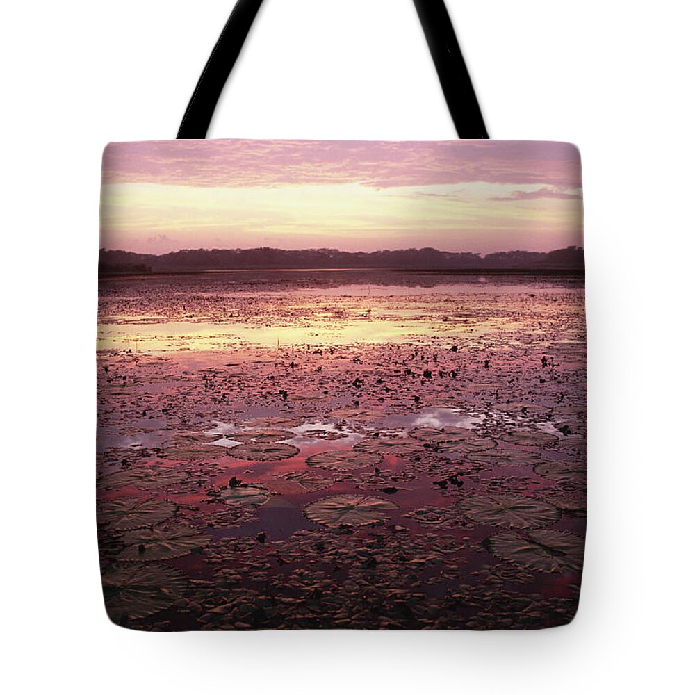 Mp Tote Bag featuring the photograph Sunrise Over The Pongolo Flood Plain by Gerry Ellis