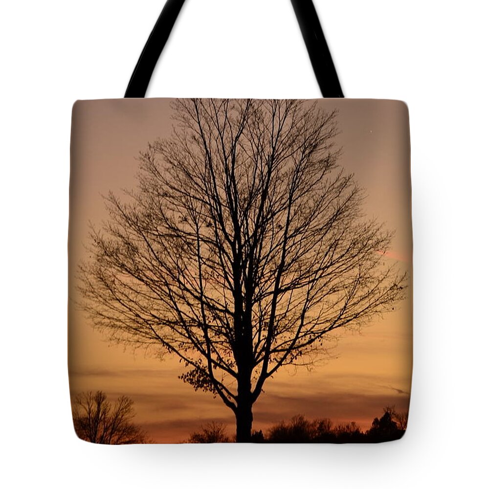 Silhouettes Tote Bag featuring the photograph Sunset Silhouette by Cathy Shiflett