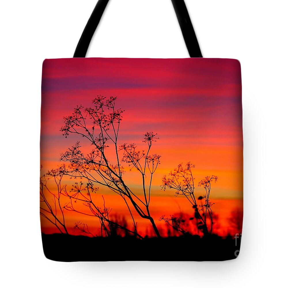 Sunset Tote Bag featuring the photograph Sunset Silhouette by Patrick Witz