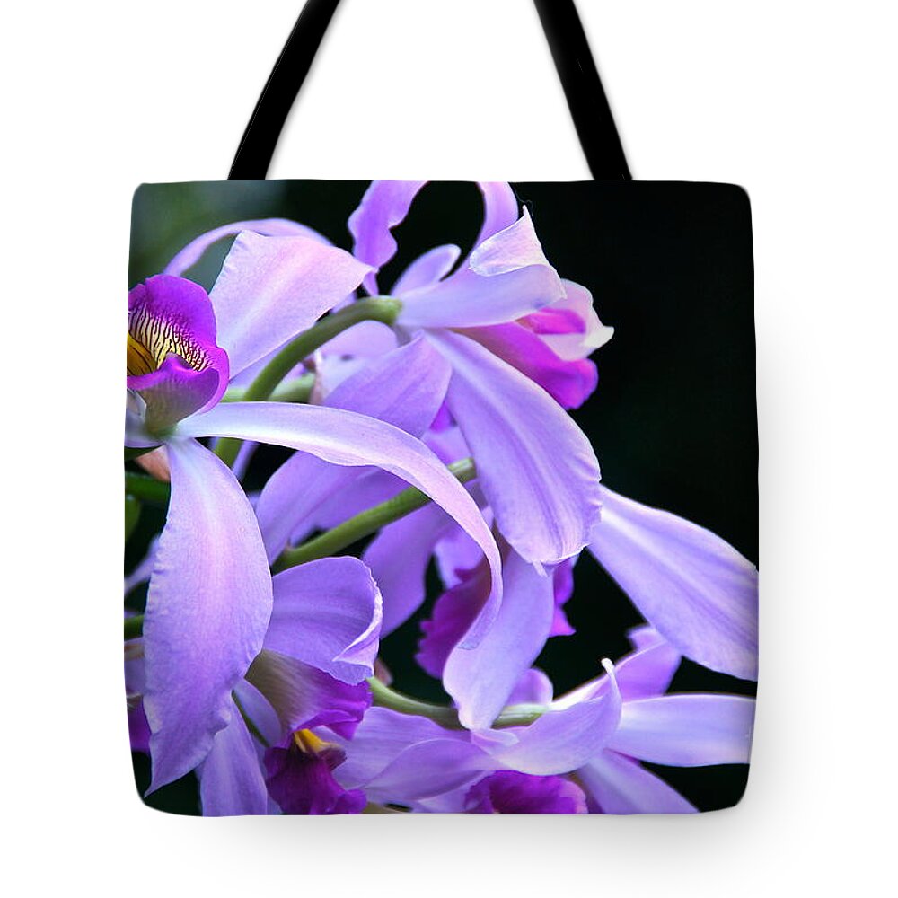 Orchid Tote Bag featuring the photograph Super Orchid by Byron Varvarigos