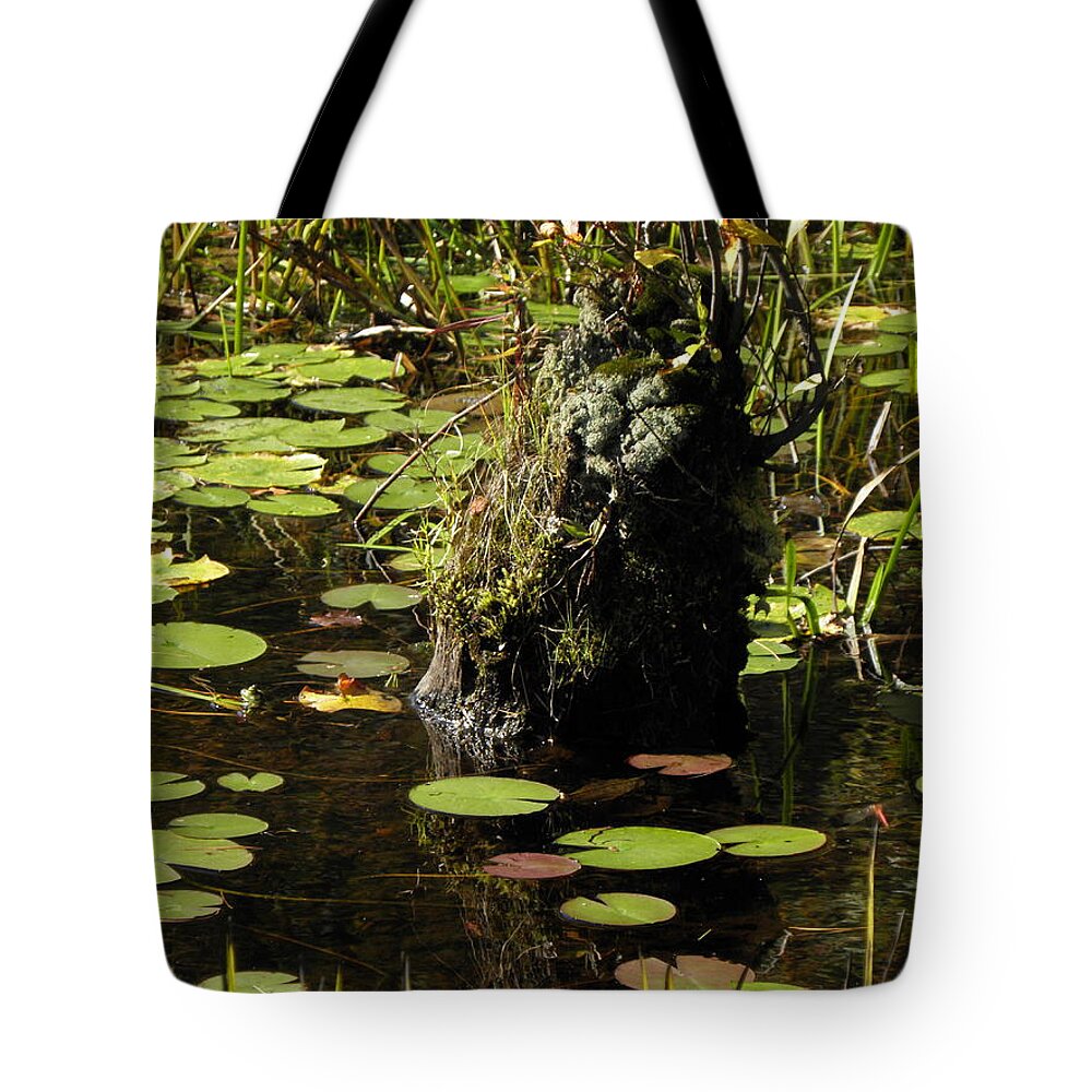 Stump Tote Bag featuring the photograph Surrounded By Lily Pads by Kim Galluzzo
