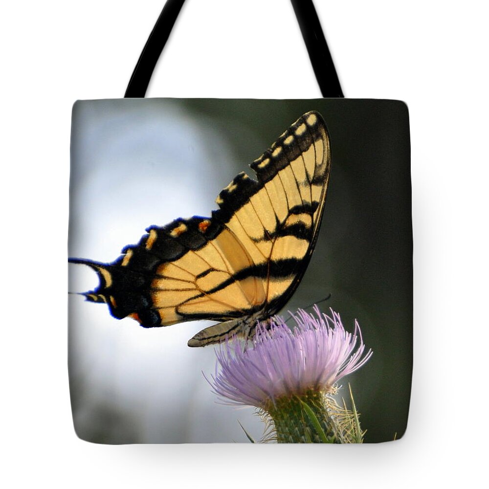 Butterfly Tote Bag featuring the photograph Swallowtail by Marty Koch