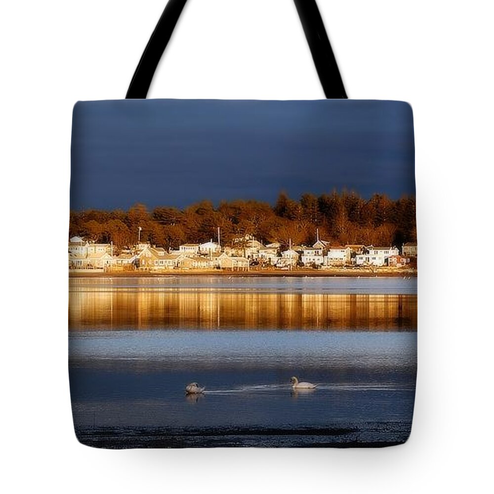 Marsh Tote Bag featuring the photograph Swans at Sunset by Marysue Ryan