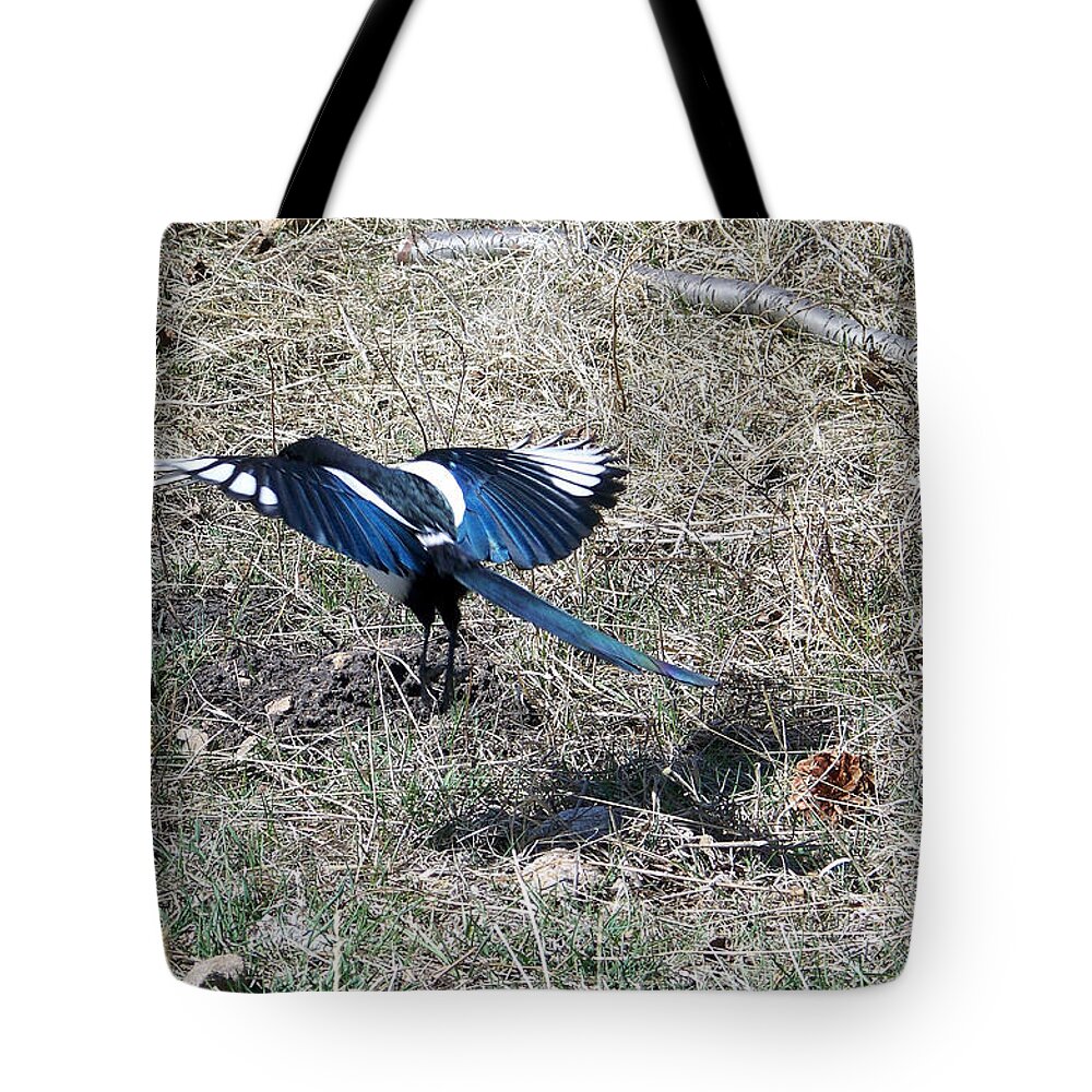 Magpie Tote Bag featuring the photograph Taking Off by Dorrene BrownButterfield