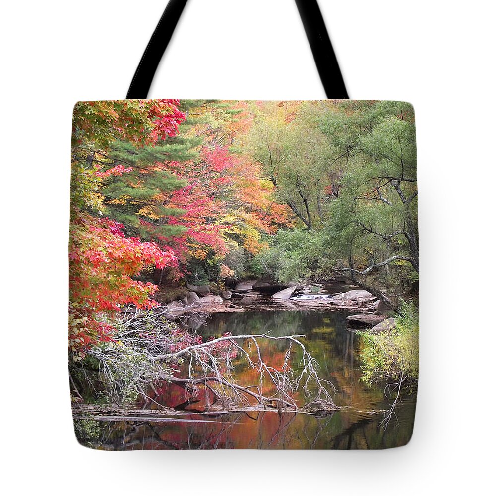 Fall Colors Tote Bag featuring the photograph Tanasee Creek in the Fall by Duane McCullough