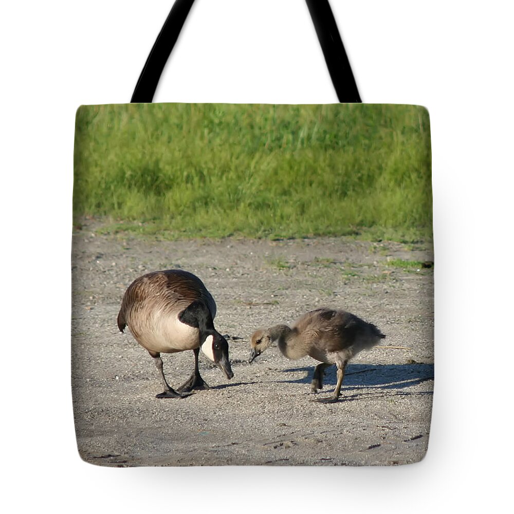 Canada Goose Tote Bag featuring the photograph Teaching by Smilin Eyes Treasures