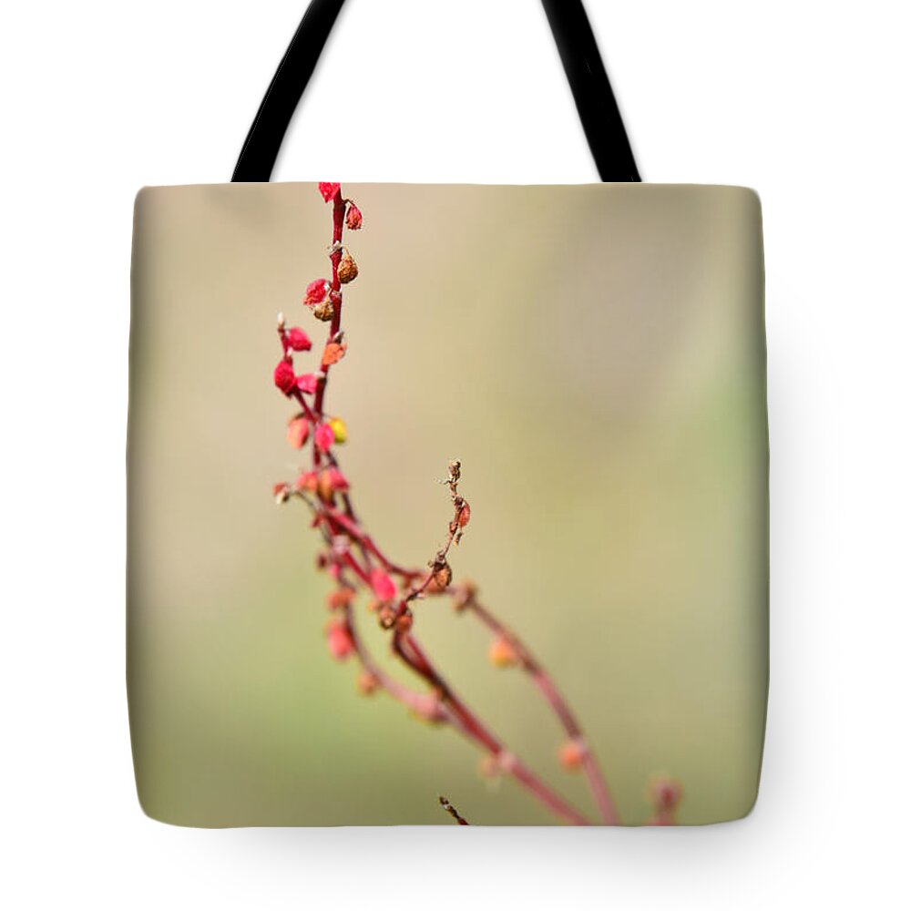 Bush Tote Bag featuring the photograph Tenderness in Japanese style by Michael Goyberg