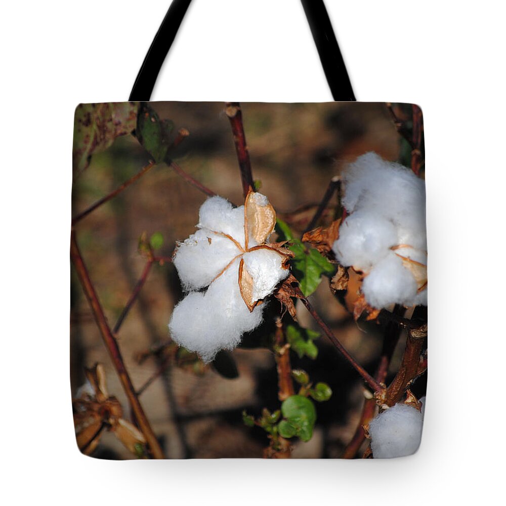 Brown Tote Bag featuring the photograph Tennessee Cotton I by Jai Johnson