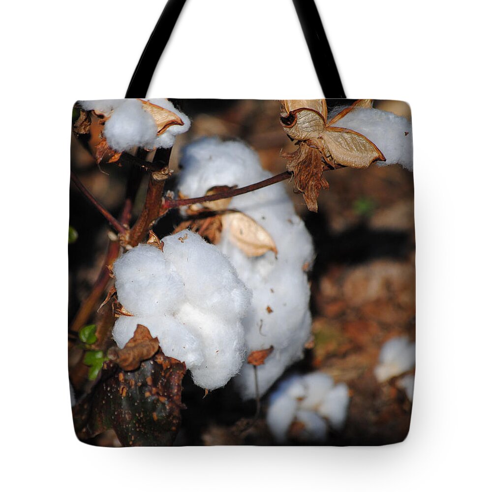 Brown Tote Bag featuring the photograph Tennessee Cotton II by Jai Johnson