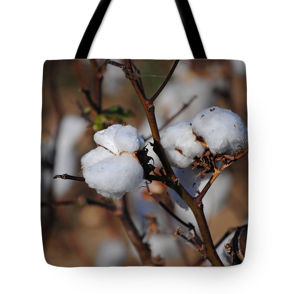 Brown Tote Bag featuring the photograph Tennessee Cotton III by Jai Johnson