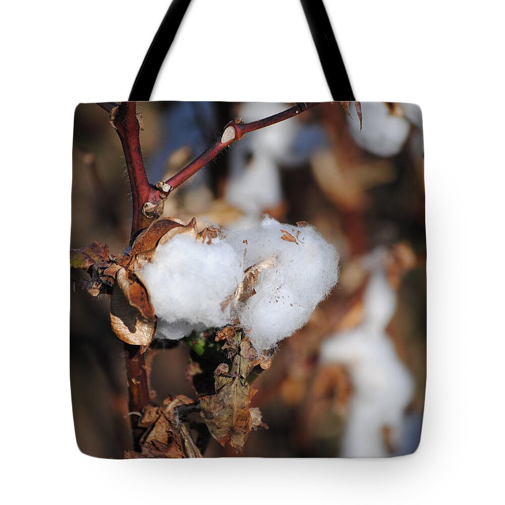 Brown Tote Bag featuring the photograph Tennessee Cotton IV by Jai Johnson