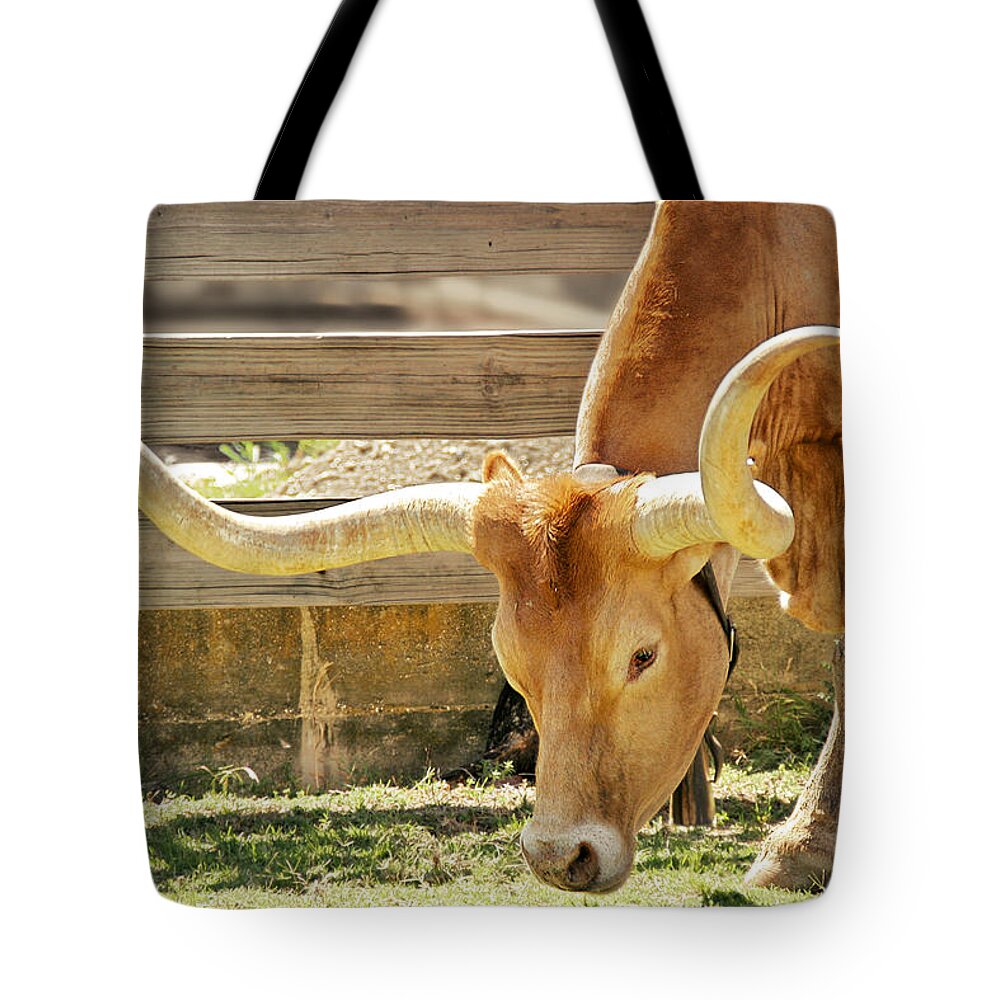 Long Tote Bag featuring the photograph Texas Longhorns - A genetic gold mine by Alexandra Till