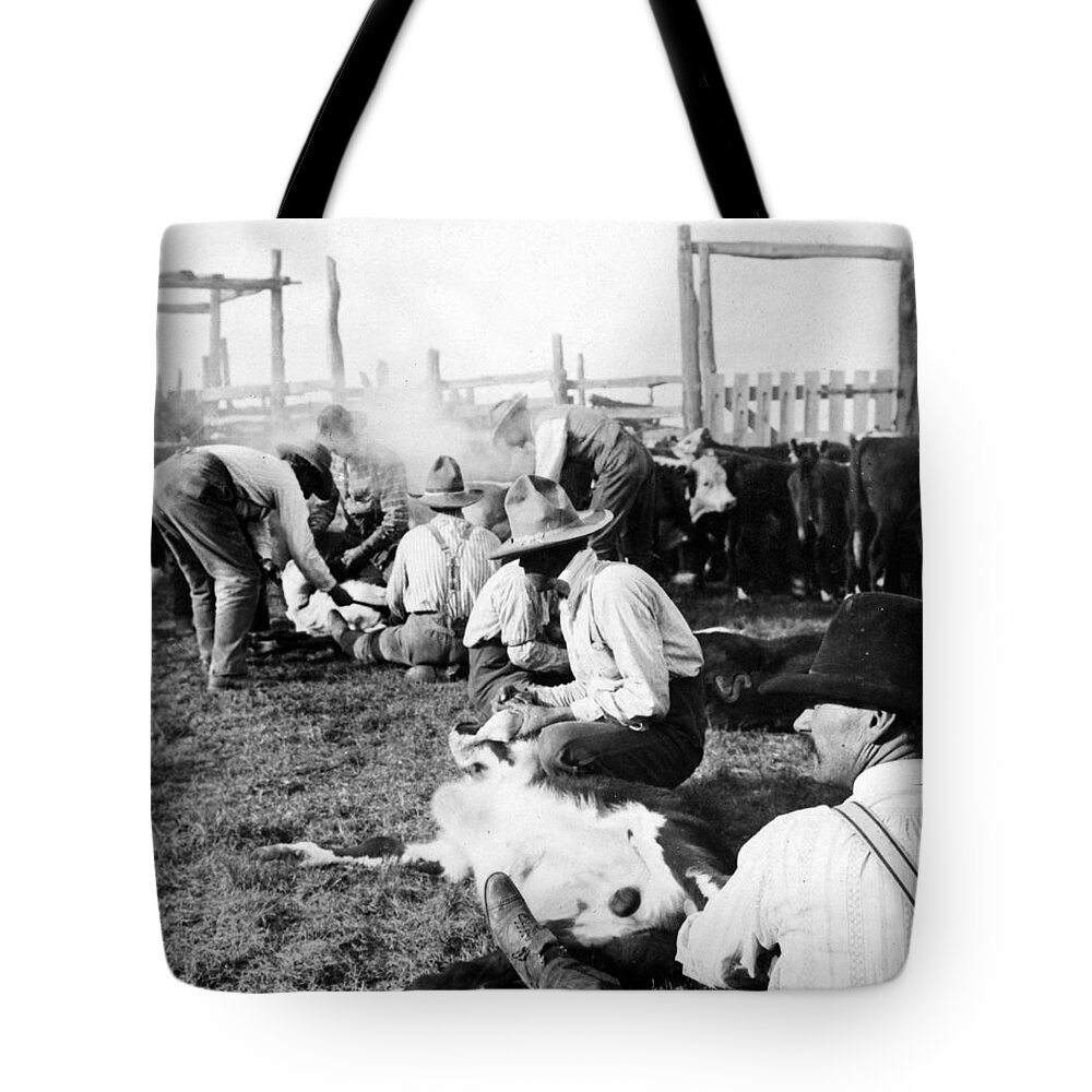 Texas Tote Bag featuring the photograph Texas Ranchers branding calves  c 1905 by International Images