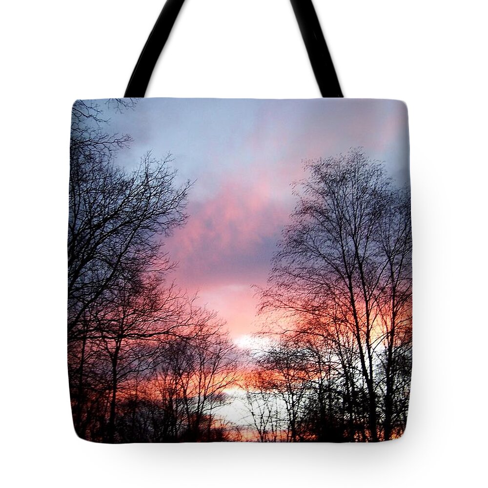 Fall Tote Bag featuring the photograph The Beauty Of Fall by Kim Galluzzo