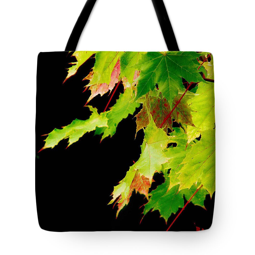 Maple Tote Bag featuring the photograph The Beginning Of Change by Rory Siegel