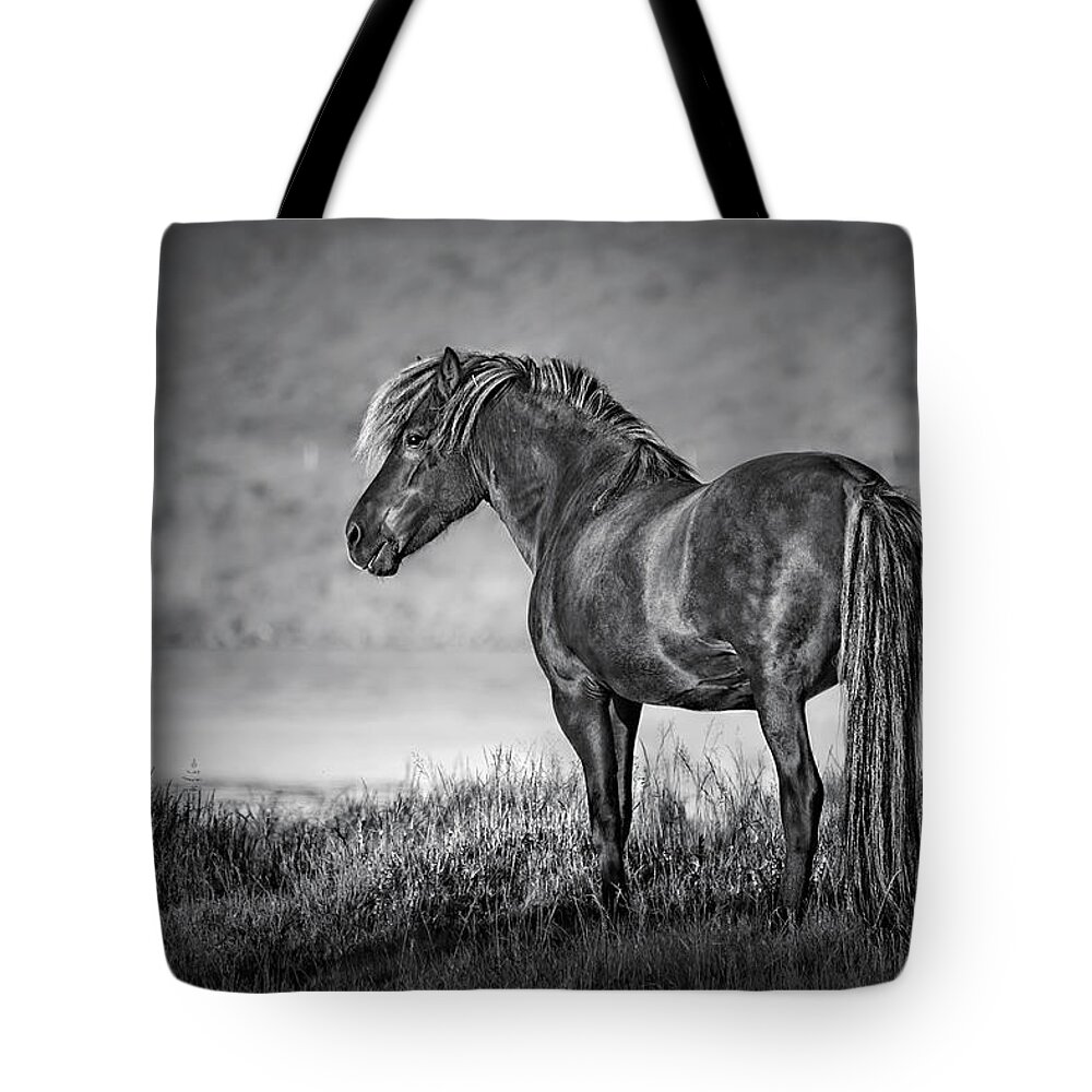 Horse Tote Bag featuring the photograph The Dark Goddess by Evelina Kremsdorf