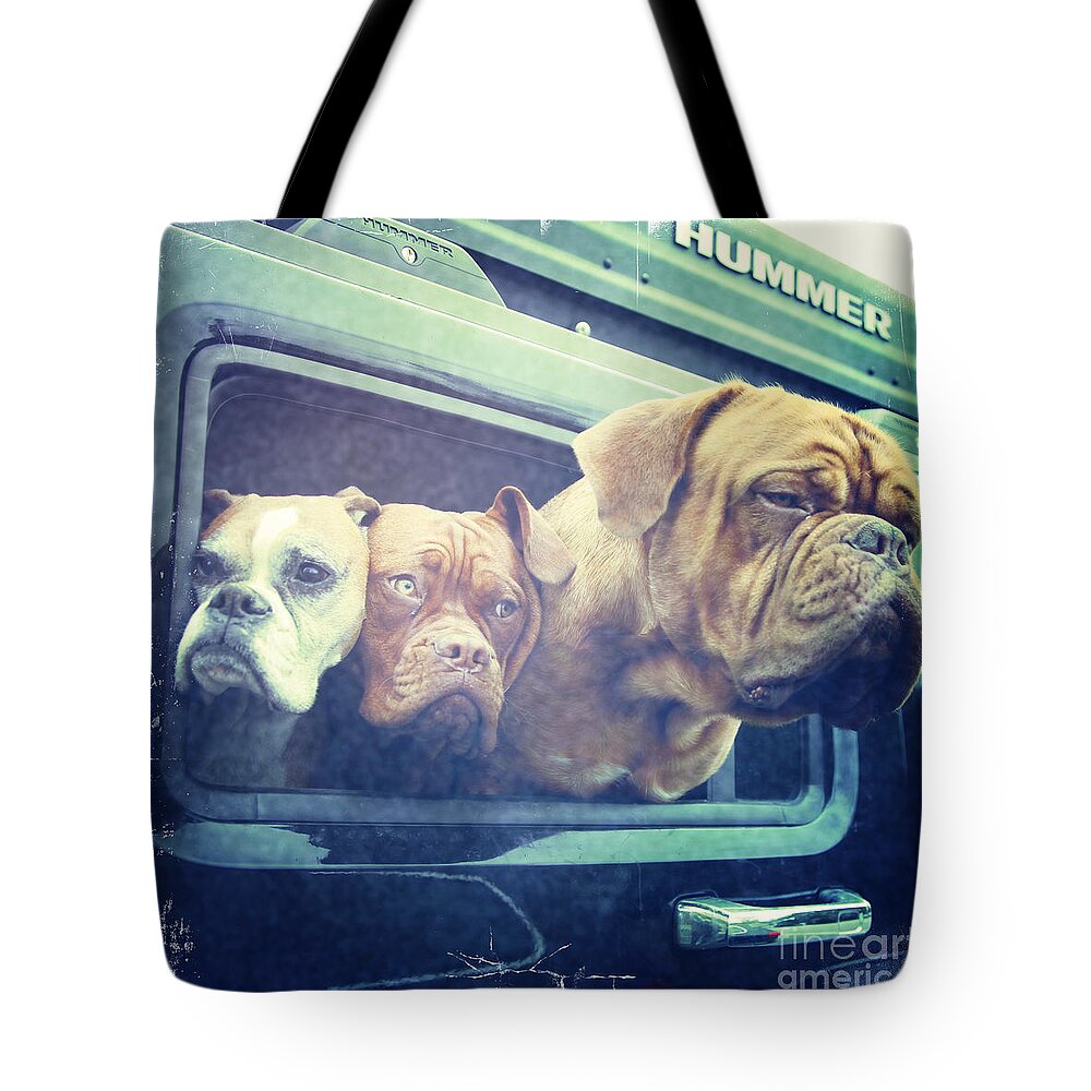 Dog Tote Bag featuring the photograph The Dog Taxi Is A Hummer by Nina Prommer