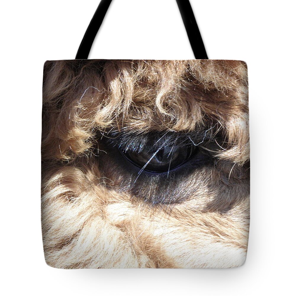Alpaca Tote Bag featuring the photograph The Eye of an Alpaca by Kim Galluzzo Wozniak