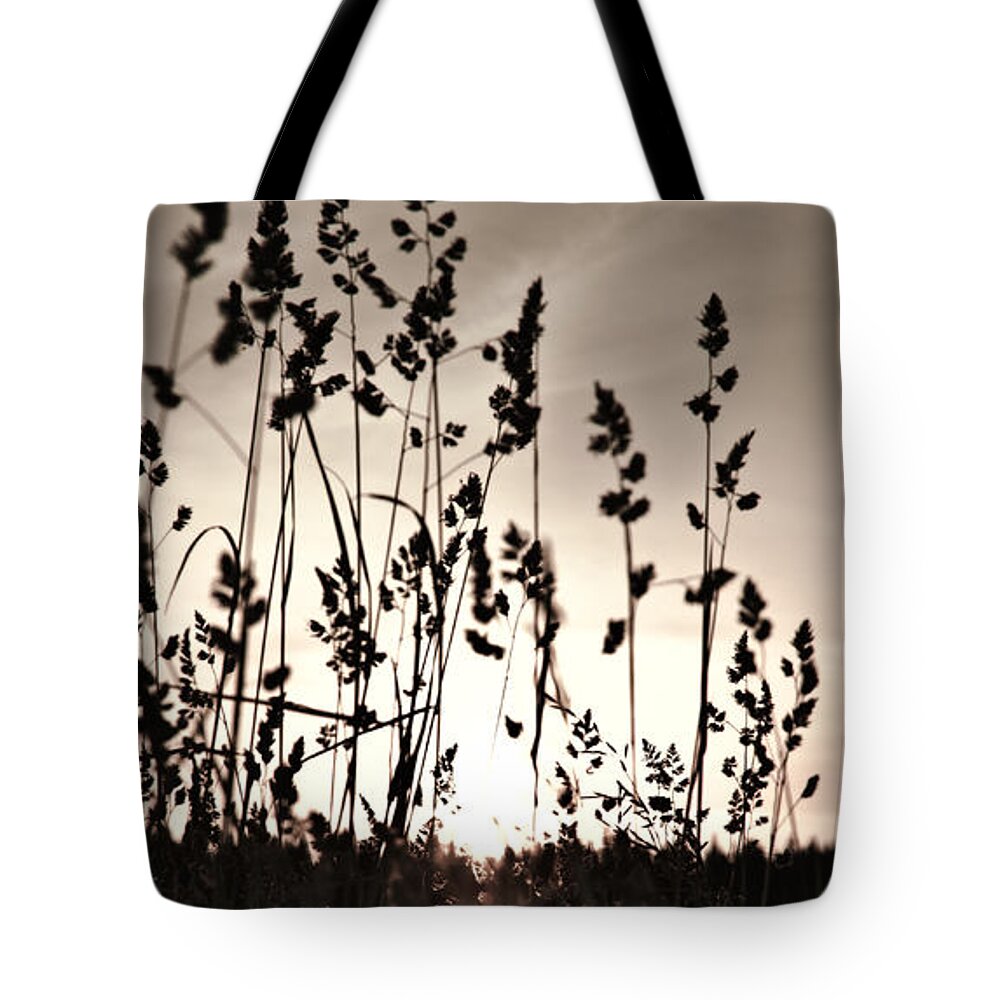 Grass Tote Bag featuring the photograph The grass at sunset by Michael Goyberg