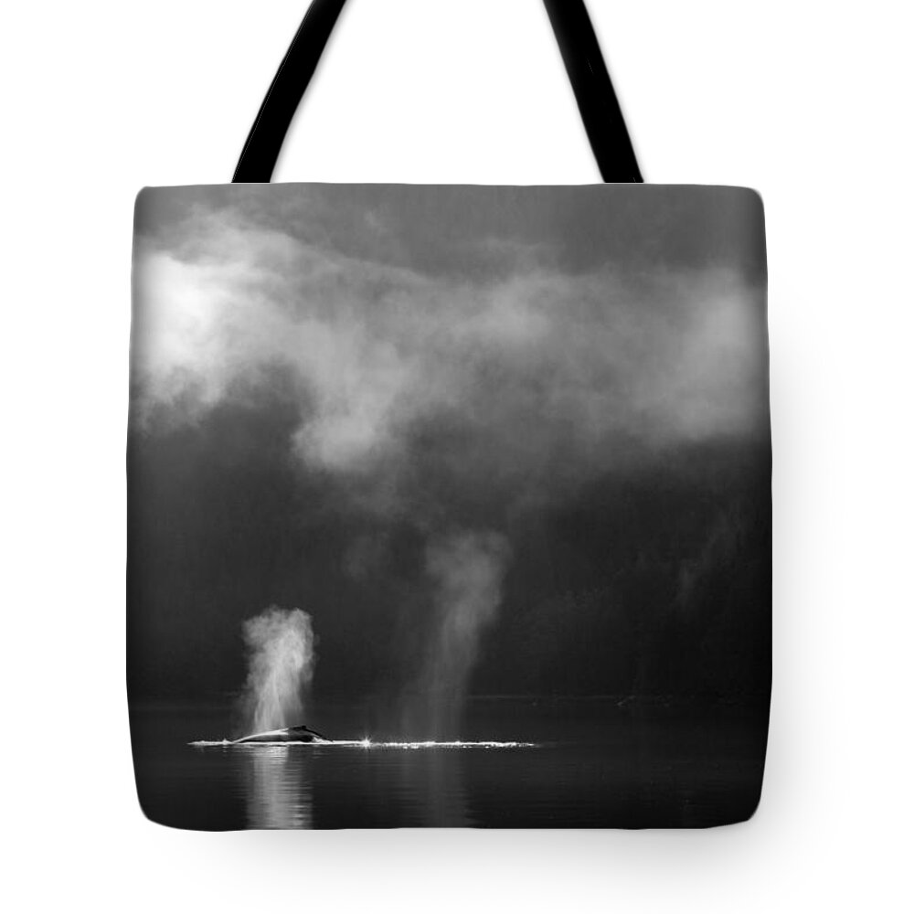 Whale Tote Bag featuring the photograph The Morning After by Max Waugh