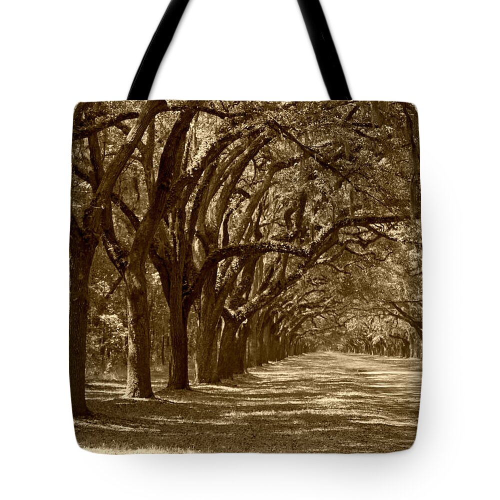 Fine Art Tote Bag featuring the photograph The Old South Series in sepia by Suzanne Gaff