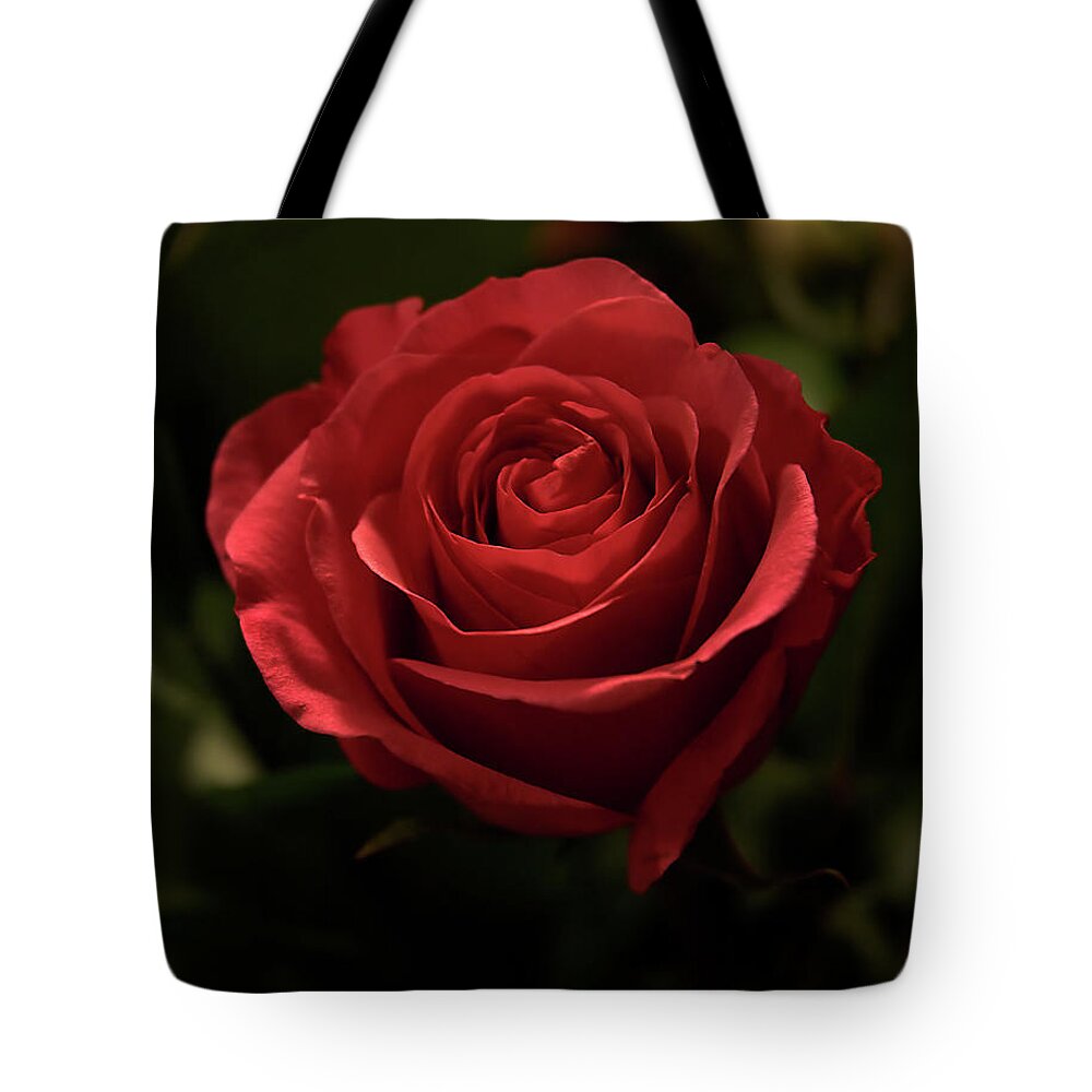 Rose Tote Bag featuring the photograph The Rose That Blooms Forever by Marie Hicks