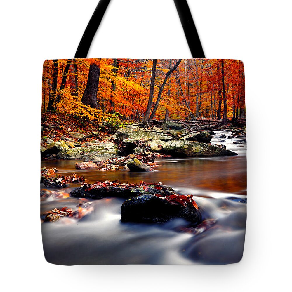 Stream Tote Bag featuring the photograph The Stream by Mitch Cat