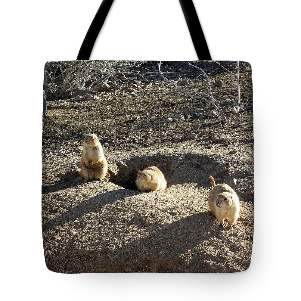 Prarie Tote Bag featuring the photograph The Three Stooges by Kim Galluzzo Wozniak