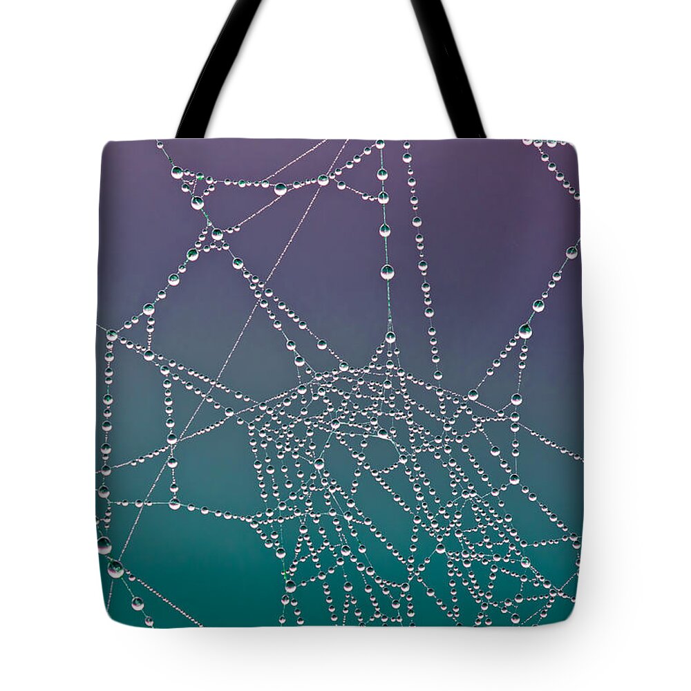 Abstract Tote Bag featuring the photograph The Web by Joye Ardyn Durham