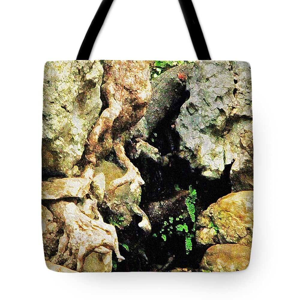 Nature Tote Bag featuring the photograph There's a Story Here by Daniele Smith