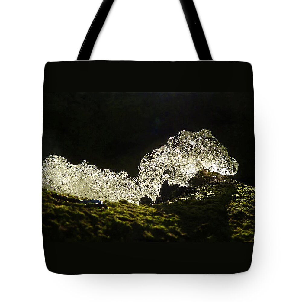 Caterpillar Tote Bag featuring the photograph This is a very hungry cold caterpillar by Steve Taylor
